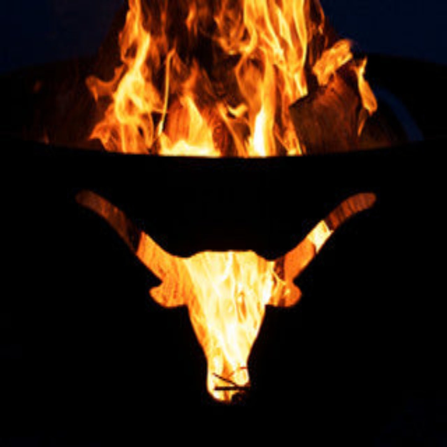 Fire Pit Art Long Horn